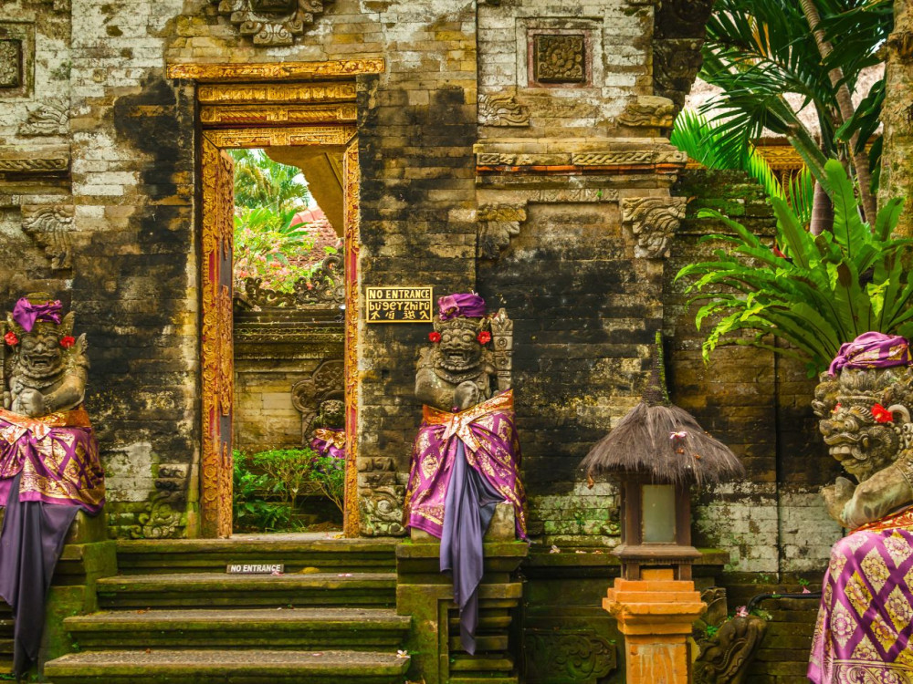 Monkey Forest Rice Terraces and Tirta Empul Day Tour