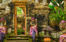 Discova Day Tours and Activities1