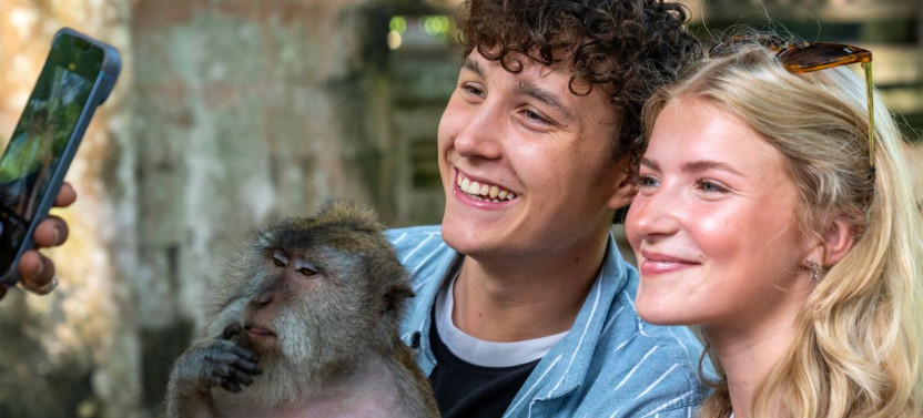 Ubud: Monkey Forest, Rice Terraces & Sacred Temples