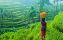 Discova Day Tours and Activities3