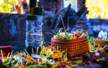 Discova Day Tours and Activities4