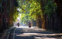 Discova Day Tours and Activities11