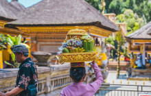 Discova Day Tours and Activities16