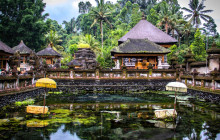 Discova Day Tours and Activities17