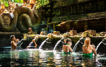 Discova Day Tours and Activities18