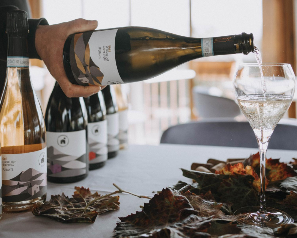 Private Tour of Pompeii with Wine Tasting & Lunch from Naples