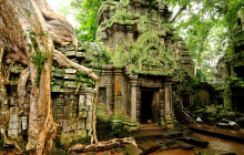 Discova Day Tours and Activities2