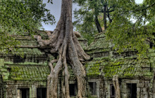 Discova Day Tours and Activities9