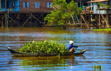 Discova Day Tours and Activities5