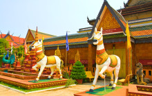 Discova Day Tours and Activities4