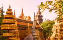 Discova Day Tours and Activities6