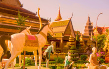 Discova Day Tours and Activities8