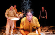 Discova Day Tours and Activities2