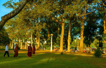 Discova Day Tours and Activities9