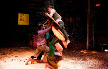 Discova Day Tours and Activities12