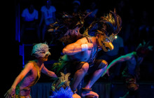 Discova Day Tours and Activities13