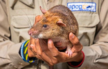 Discova Day Tours and Activities1