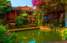 Discova Day Tours and Activities2