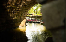 Cambridge Alumni Tours12