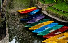 Cambridge Alumni Tours7