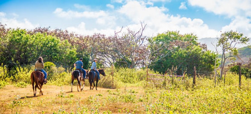 1 Hour Scenic Horse Back Experience