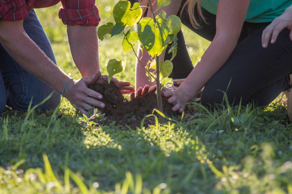 Private Off-Road Legacy Tree Planting Tour (2 hours)