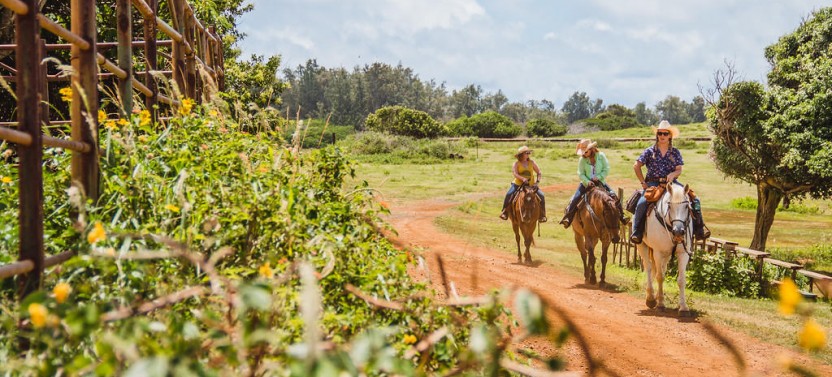 1.5 Hour Scenic Horse Back Experience