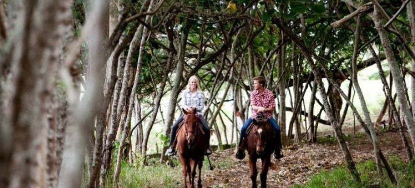 Private Sweetheart Horseback Ride