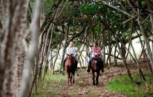 Private Sweetheart Horseback Ride