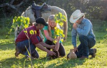 Horseback Riding & Legacy Tree Planting Experience