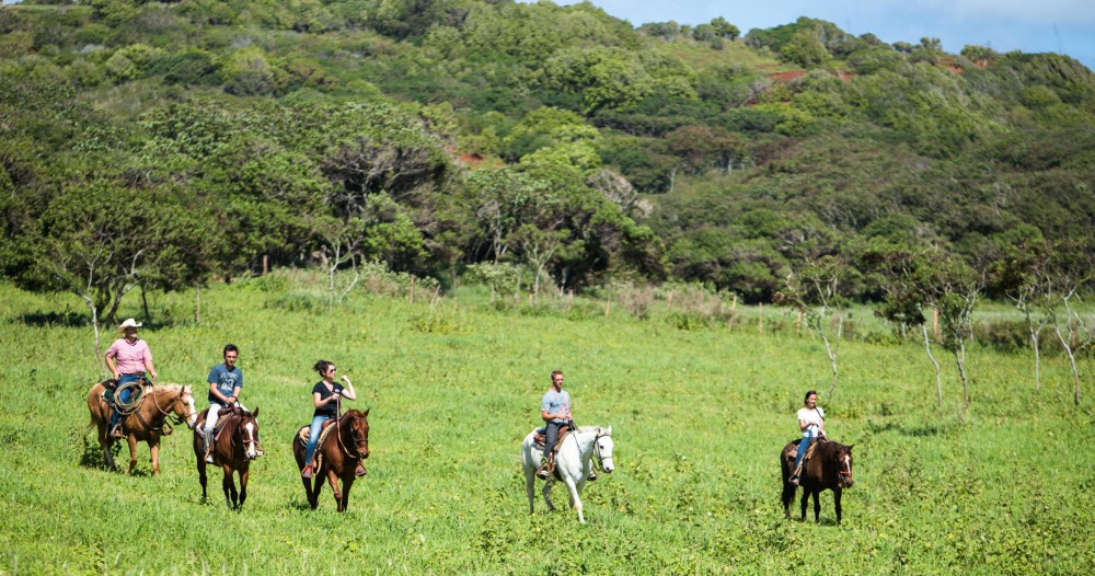 Horseback Riding & Legacy Tree Planting Experience - Honolulu | Project ...