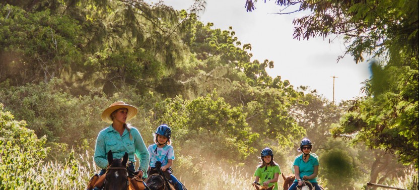 1.5 Hour Sunset Horseback Ride