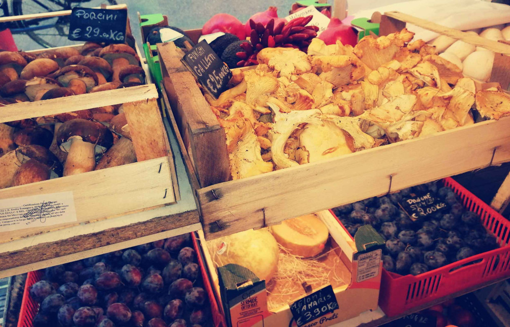 Romagna Pasta Making Class in a Historic Home in Faenza