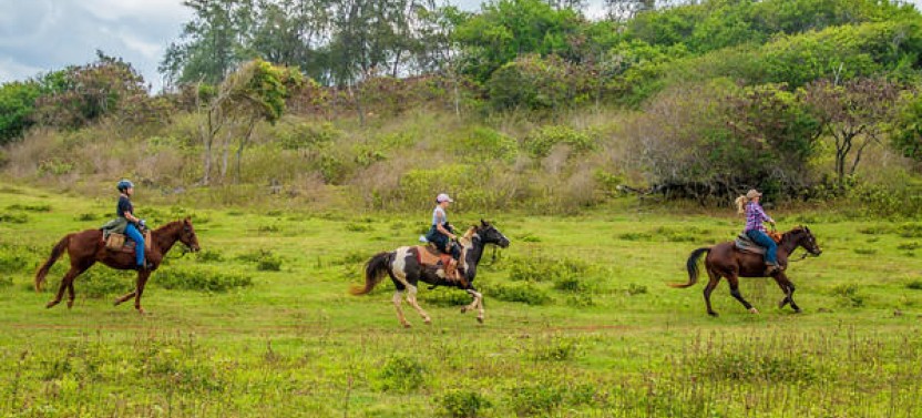 Advanced Trail Horseback Ride