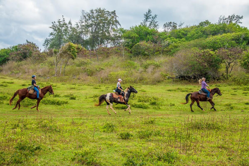 Private Advanced Trail Horseback Ride