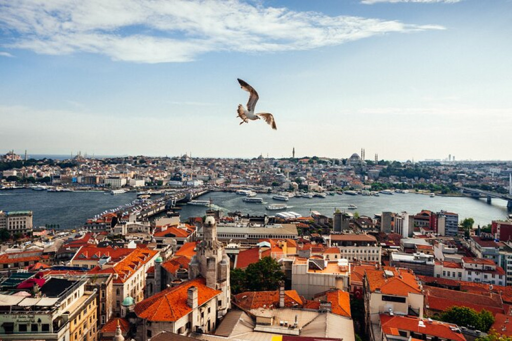Guided Istanbul Kick-Start Tour for First-Time Visitors with Local Guide