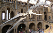 The Great Weekender1