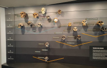 The Great Weekender4