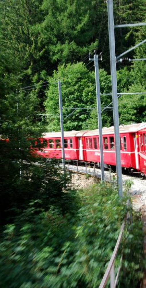 Bernina Express And Swiss Alps Tour From Milan Milan Project Expedition