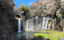 Local Travel Partners5