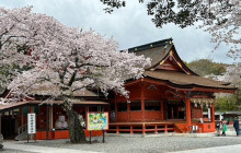 Local Travel Partners8