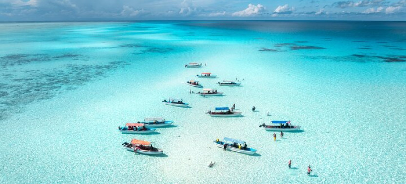 Mnemba Island Private Boat – Snorkel & Dolphin Adventure