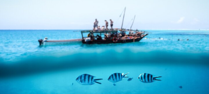 Mnemba Island Private Boat – Snorkel & Dolphin Adventure