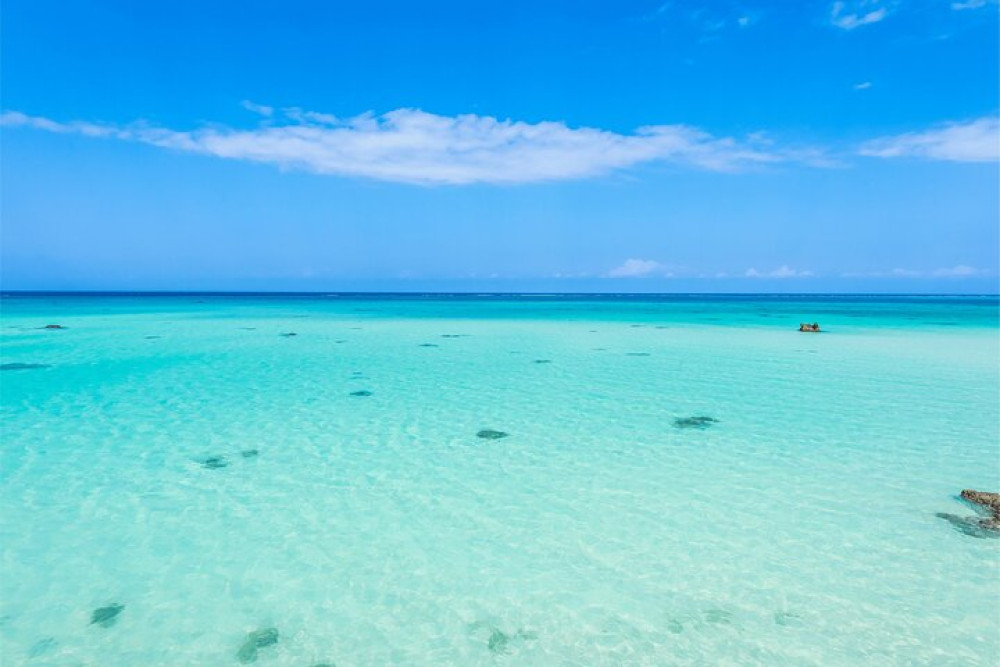 Private Yacht to Saona Island Luxury 56ft from Punta Cana