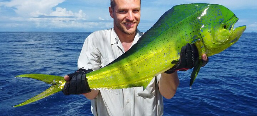 Punta Cana Deep Sea Fishing – Private 4H Charter from Cap Cana
