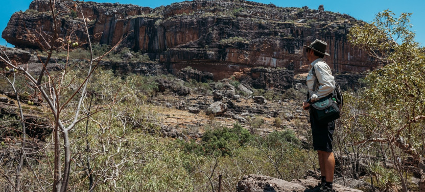 Kakadu Day Tour - Nourlangie and Yellow Water Billabong Cruise