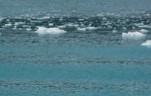 Stan Stephens Cruises12