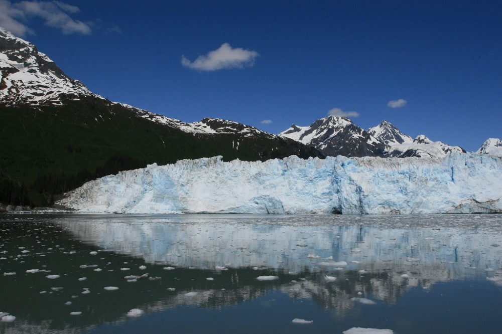 Meares Glacier Excursion