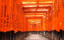 Tasty Tours Japan1