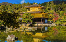Tasty Tours Japan18